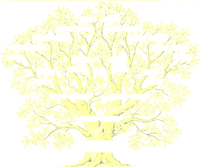 fond_arbre_genealogique